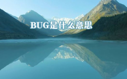 BUG是什么意思 小知识普及